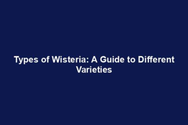 Types of Wisteria: A Guide to Different Varieties