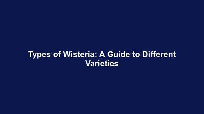 Types of Wisteria: A Guide to Different Varieties