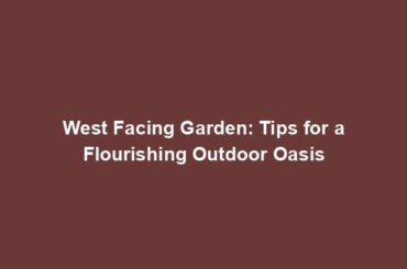 West Facing Garden: Tips for a Flourishing Outdoor Oasis