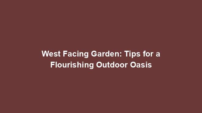 West Facing Garden: Tips for a Flourishing Outdoor Oasis