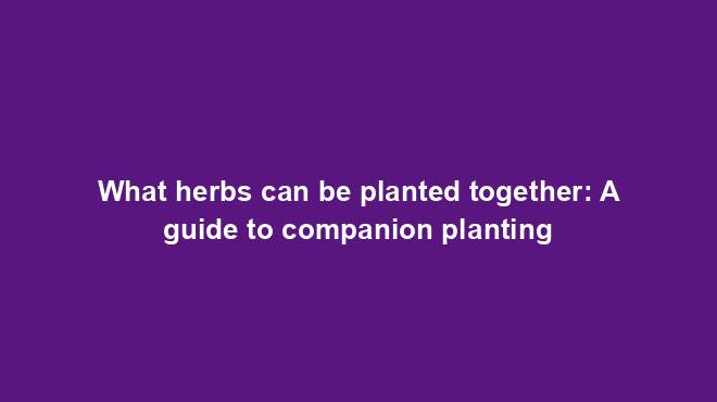 What herbs can be planted together: A guide to companion planting