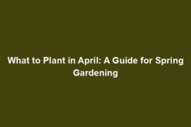 What to Plant in April: A Guide for Spring Gardening
