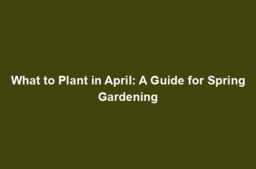 What to Plant in April: A Guide for Spring Gardening