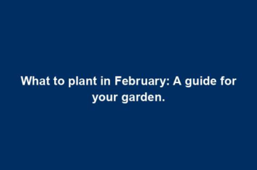 What to plant in February: A guide for your garden.