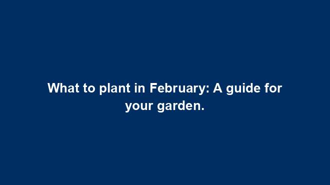 What to plant in February: A guide for your garden.