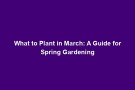 What to Plant in March: A Guide for Spring Gardening
