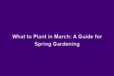 What to Plant in March: A Guide for Spring Gardening