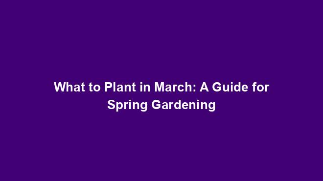 What to Plant in March: A Guide for Spring Gardening