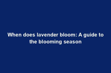 When does lavender bloom: A guide to the blooming season