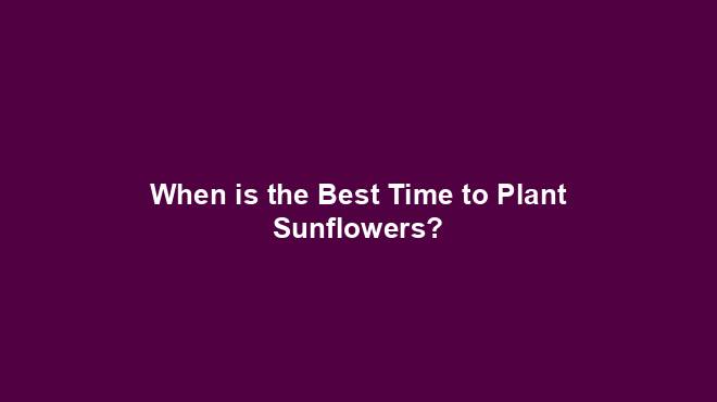 When is the Best Time to Plant Sunflowers?