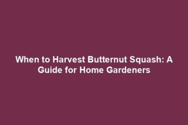 When to Harvest Butternut Squash: A Guide for Home Gardeners