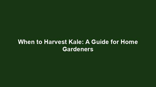 When to Harvest Kale: A Guide for Home Gardeners