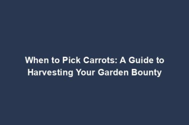 When to Pick Carrots: A Guide to Harvesting Your Garden Bounty