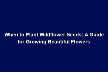 When to Plant Wildflower Seeds: A Guide for Growing Beautiful Flowers