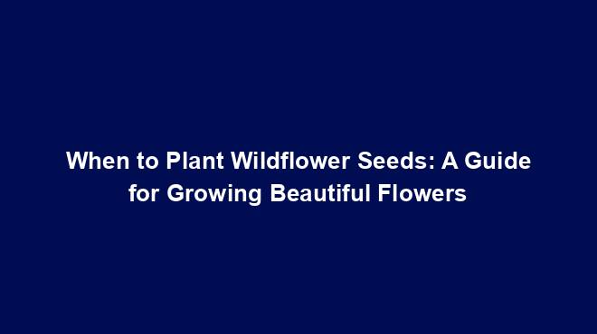 When to Plant Wildflower Seeds: A Guide for Growing Beautiful Flowers