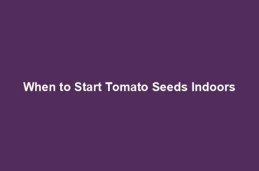 When to Start Tomato Seeds Indoors