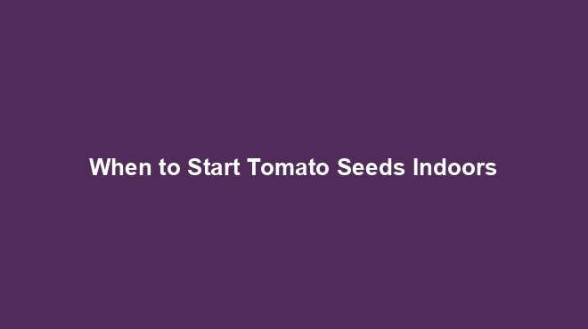 When to Start Tomato Seeds Indoors