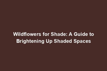 Wildflowers for Shade: A Guide to Brightening Up Shaded Spaces