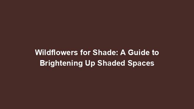 Wildflowers for Shade: A Guide to Brightening Up Shaded Spaces