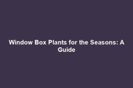 Window Box Plants for the Seasons: A Guide