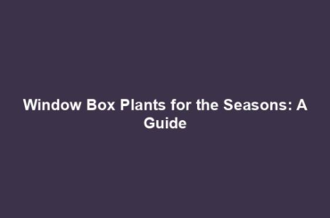 Window Box Plants for the Seasons: A Guide