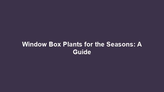 Window Box Plants for the Seasons: A Guide
