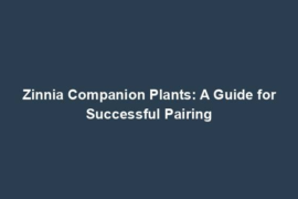 Zinnia Companion Plants: A Guide for Successful Pairing