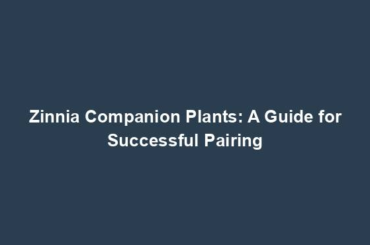 Zinnia Companion Plants: A Guide for Successful Pairing