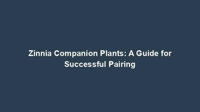 Zinnia Companion Plants: A Guide for Successful Pairing