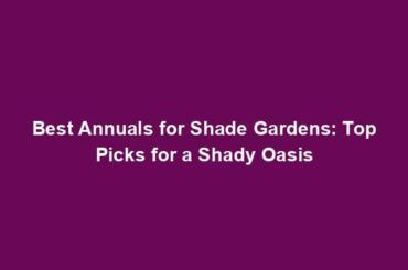 Best Annuals for Shade Gardens: Top Picks for a Shady Oasis