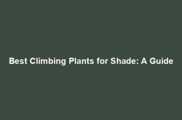 Best Climbing Plants for Shade: A Guide