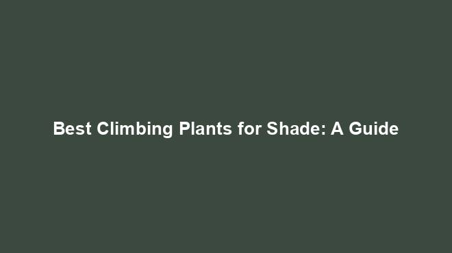 Best Climbing Plants for Shade: A Guide