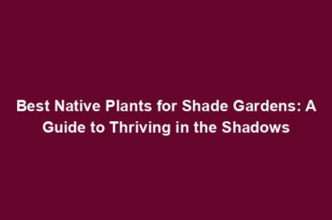 Best Native Plants for Shade Gardens: A Guide to Thriving in the Shadows