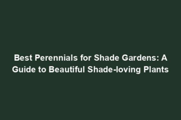 Best Perennials for Shade Gardens: A Guide to Beautiful Shade-loving Plants