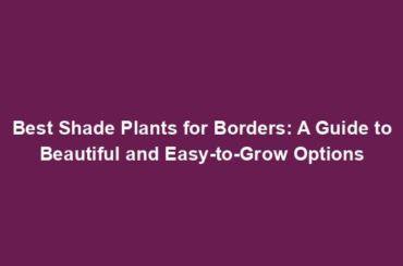 Best Shade Plants for Borders: A Guide to Beautiful and Easy-to-Grow Options