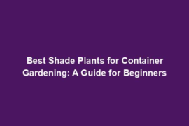 Best Shade Plants for Container Gardening: A Guide for Beginners