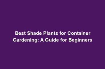 Best Shade Plants for Container Gardening: A Guide for Beginners