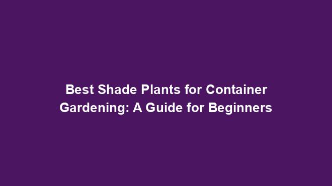 Best Shade Plants for Container Gardening: A Guide for Beginners