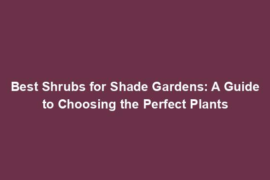 Best Shrubs for Shade Gardens: A Guide to Choosing the Perfect Plants