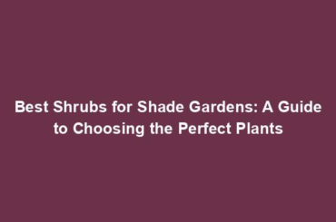 Best Shrubs for Shade Gardens: A Guide to Choosing the Perfect Plants