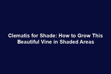 Clematis for Shade: How to Grow This Beautiful Vine in Shaded Areas