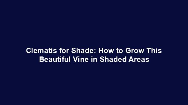 Clematis for Shade: How to Grow This Beautiful Vine in Shaded Areas