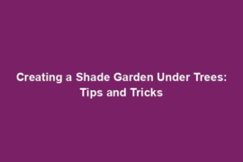 Creating a Shade Garden Under Trees: Tips and Tricks