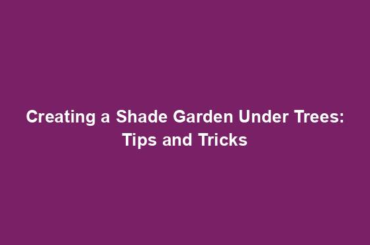 Creating a Shade Garden Under Trees: Tips and Tricks