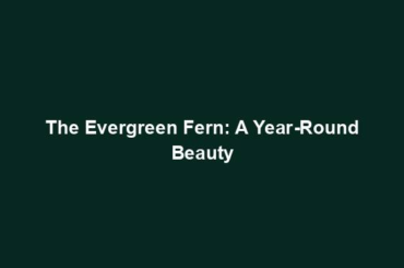 The Evergreen Fern: A Year-Round Beauty