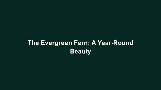 The Evergreen Fern: A Year-Round Beauty