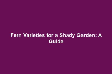 Fern Varieties for a Shady Garden: A Guide