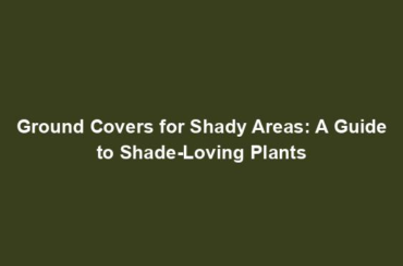 Ground Covers for Shady Areas: A Guide to Shade-Loving Plants