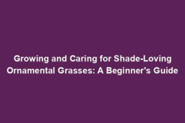Growing and Caring for Shade-Loving Ornamental Grasses: A Beginner's Guide