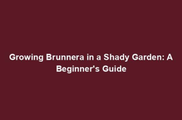 Growing Brunnera in a Shady Garden: A Beginner's Guide